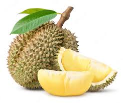 Apa Saja Jenis Buah Durian Terkenal Internasional